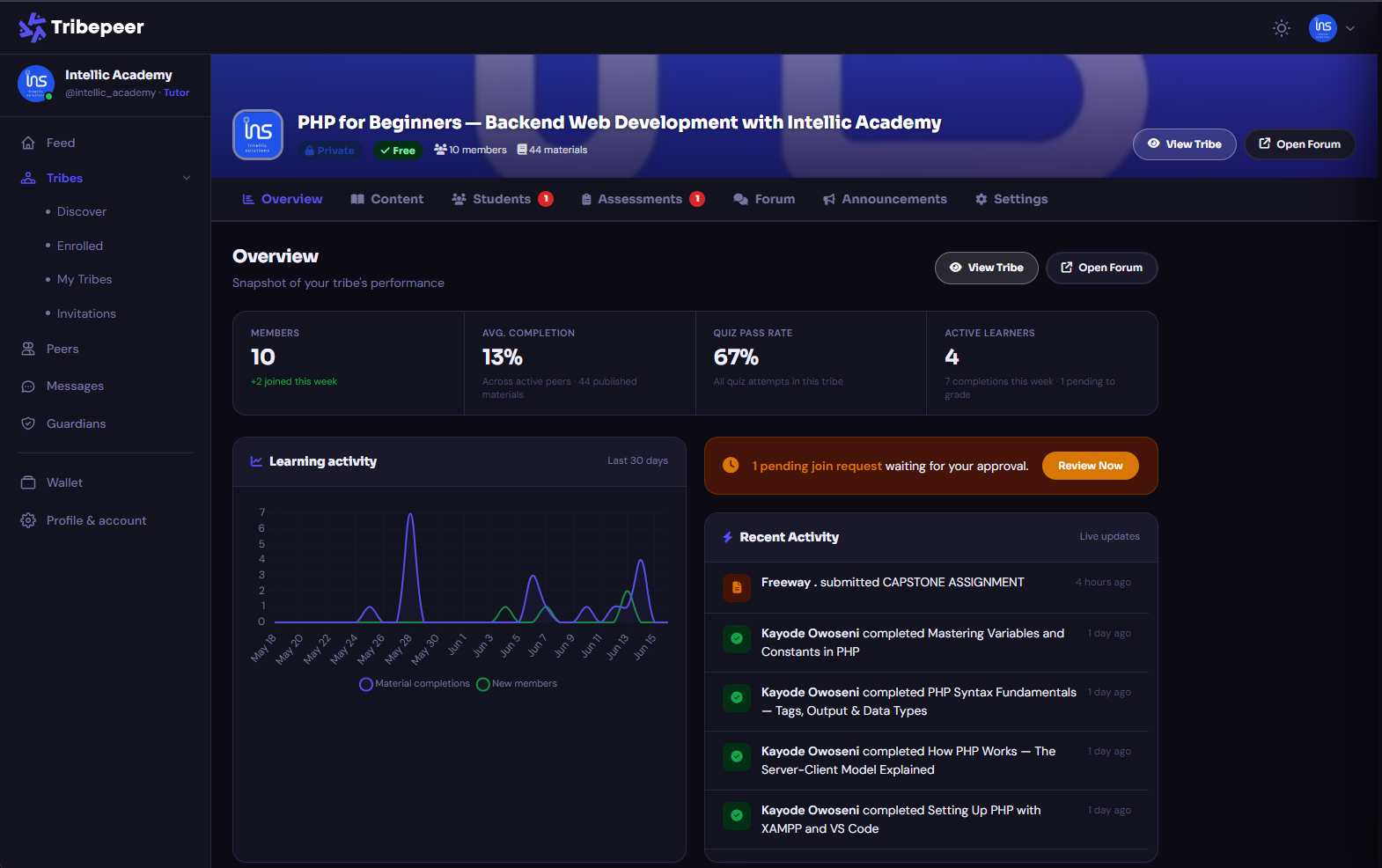 TribePeer dashboard showing curriculum and learning activity